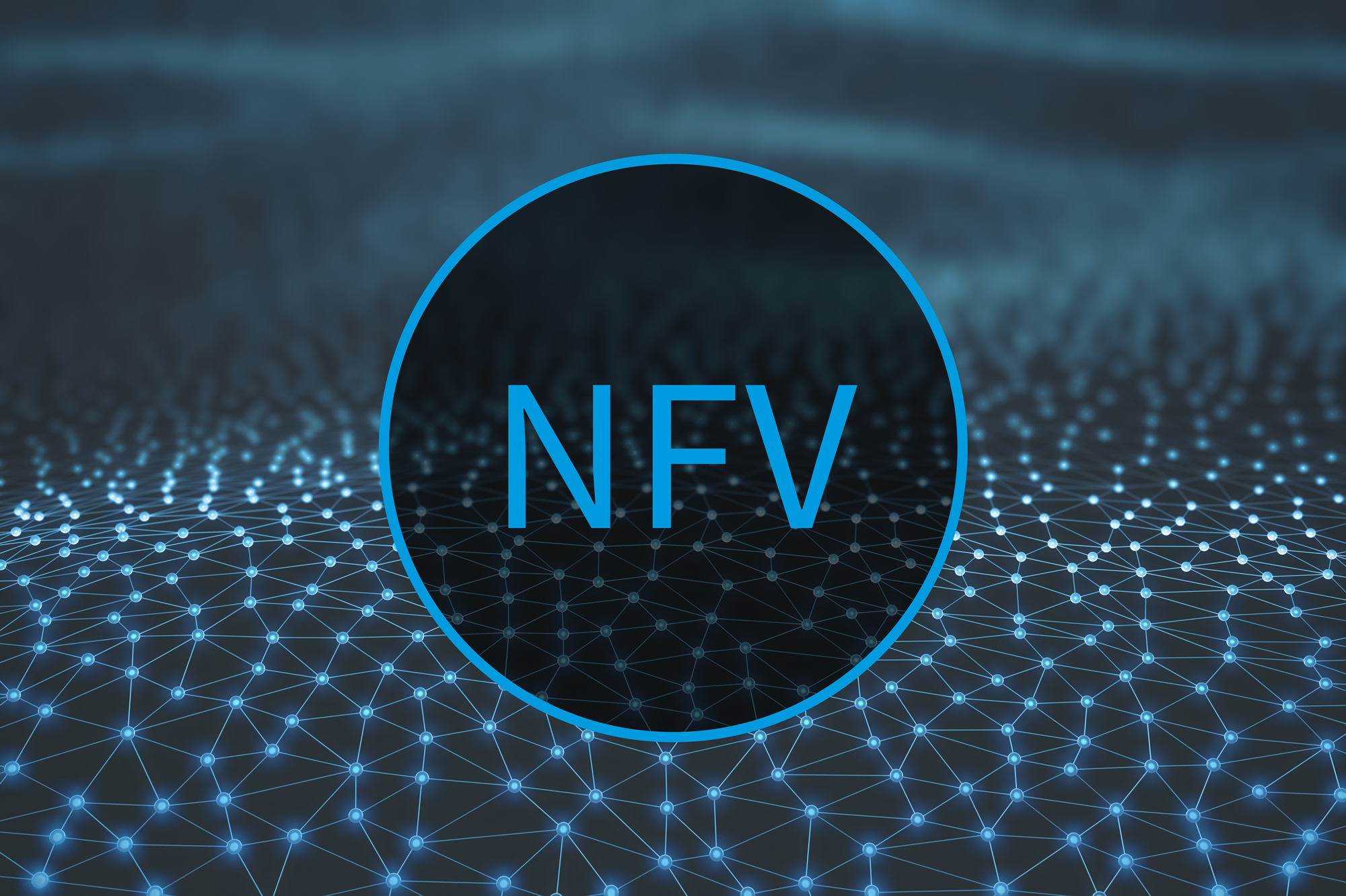 NFV: How it Provides Agility and Rapid Response